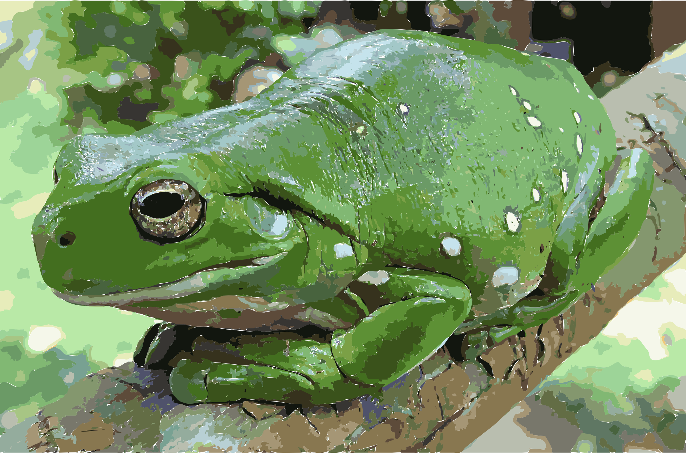 Magnificent Tree Frog clipart #15, Download drawings