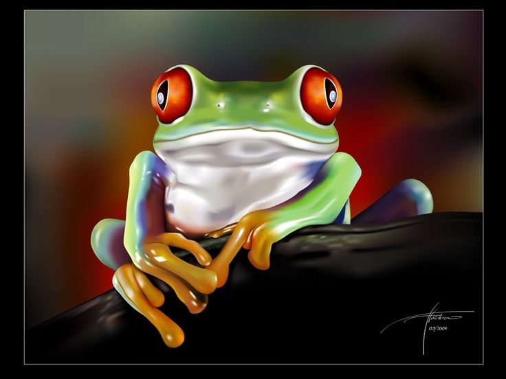 Magnificent Tree Frog svg #9, Download drawings