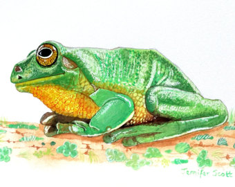 Magnificent Tree Frog svg #18, Download drawings