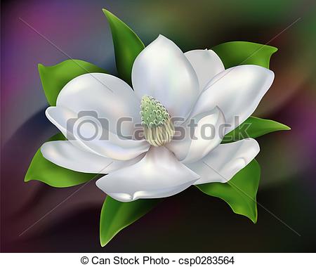 Magnolia Blossom clipart #9, Download drawings