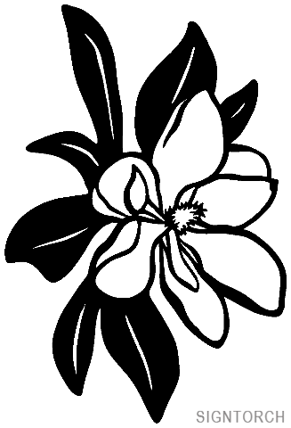 Magnolia Blossom clipart #2, Download drawings