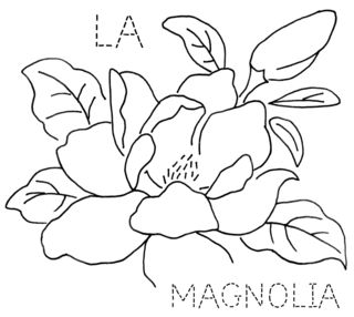 Magnolia Blossom coloring #14, Download drawings