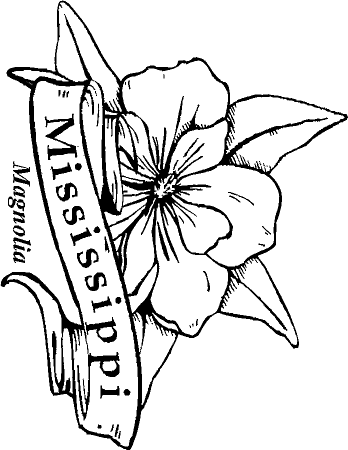 Magnolia Blossom coloring #13, Download drawings
