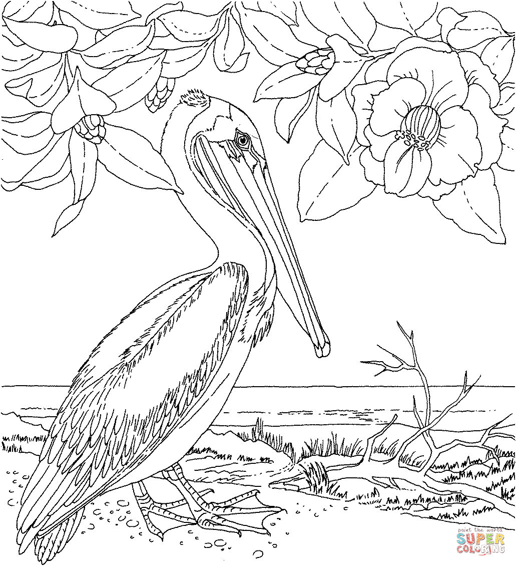 Pelican Island coloring #20, Download drawings