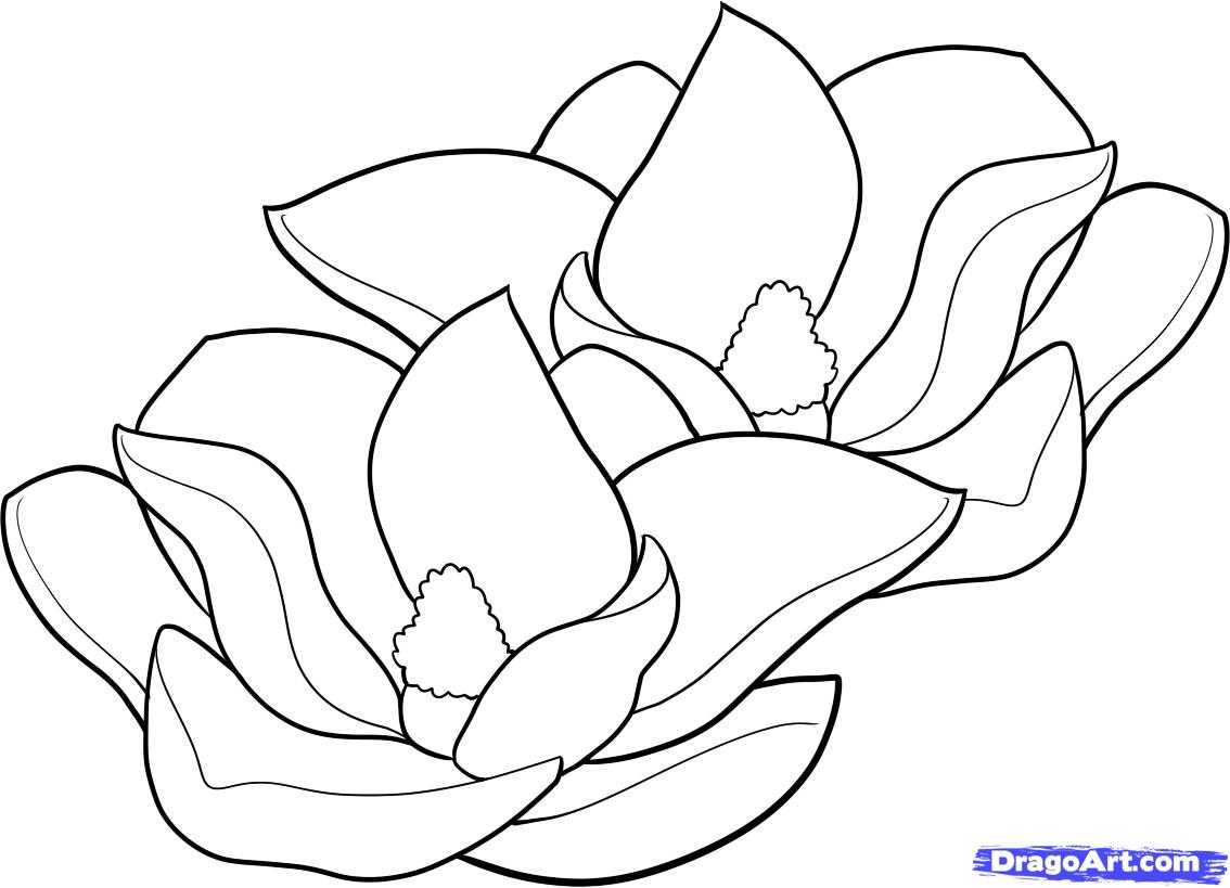 Magnolia Blossom coloring #19, Download drawings