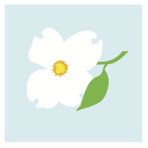 Magnolia Blossom svg #14, Download drawings