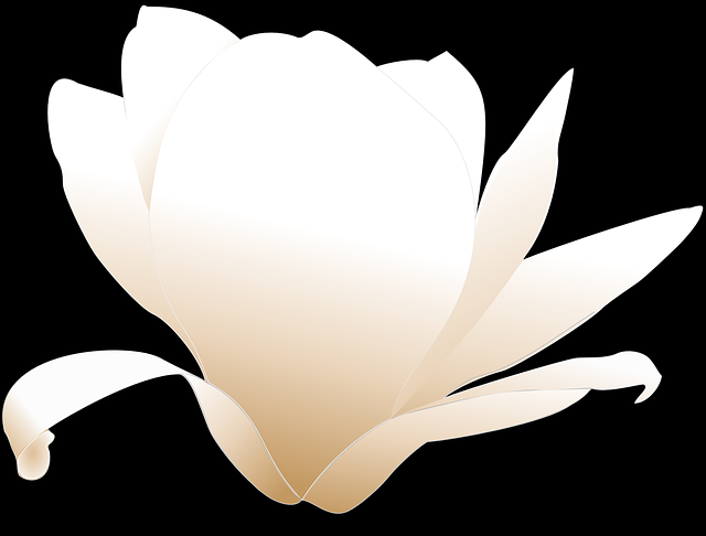 Magnolia Blossom svg #6, Download drawings
