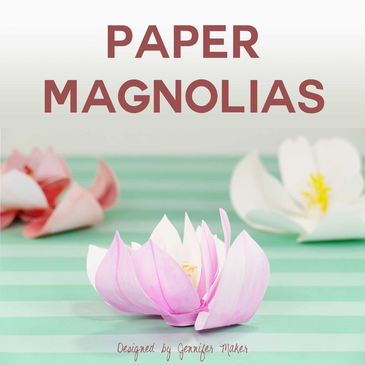 Magnolia Blossom svg #5, Download drawings