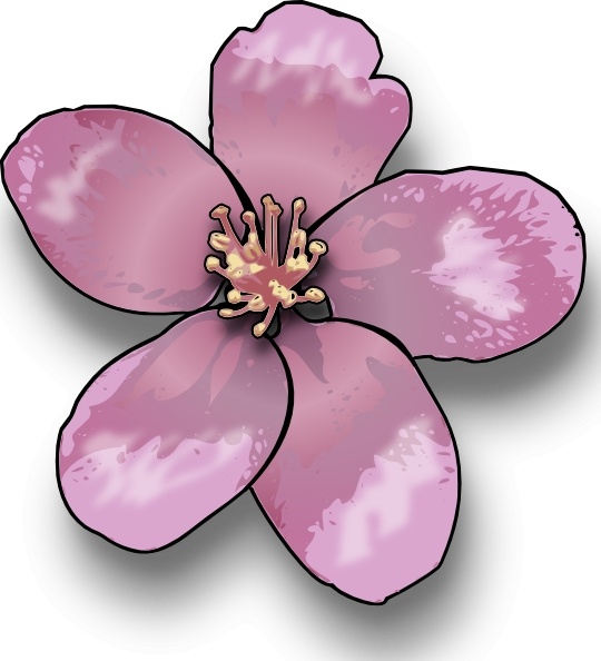 Magnolia Blossom svg #19, Download drawings