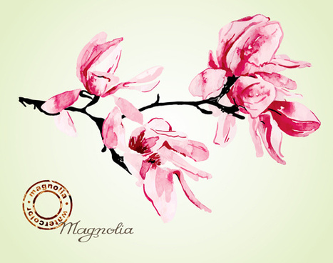 Magnolia Blossom svg #17, Download drawings