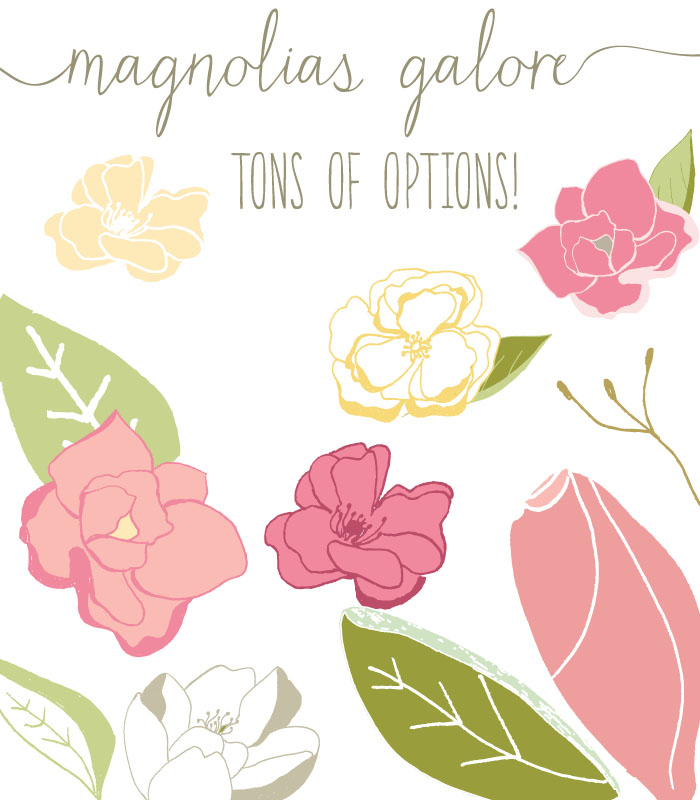 Magnolia clipart #3, Download drawings