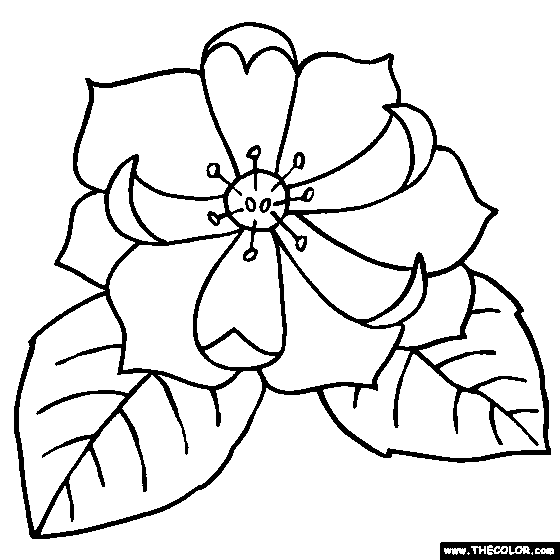 Magnolia coloring #19, Download drawings
