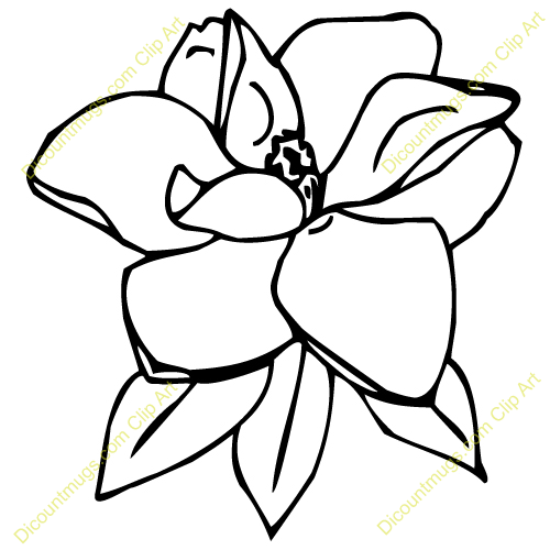 Magnolia svg #348, Download drawings