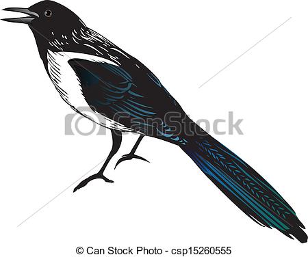 Magpie clipart #6, Download drawings