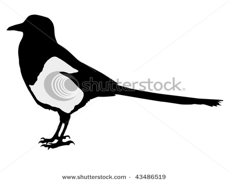 Magpie clipart #16, Download drawings