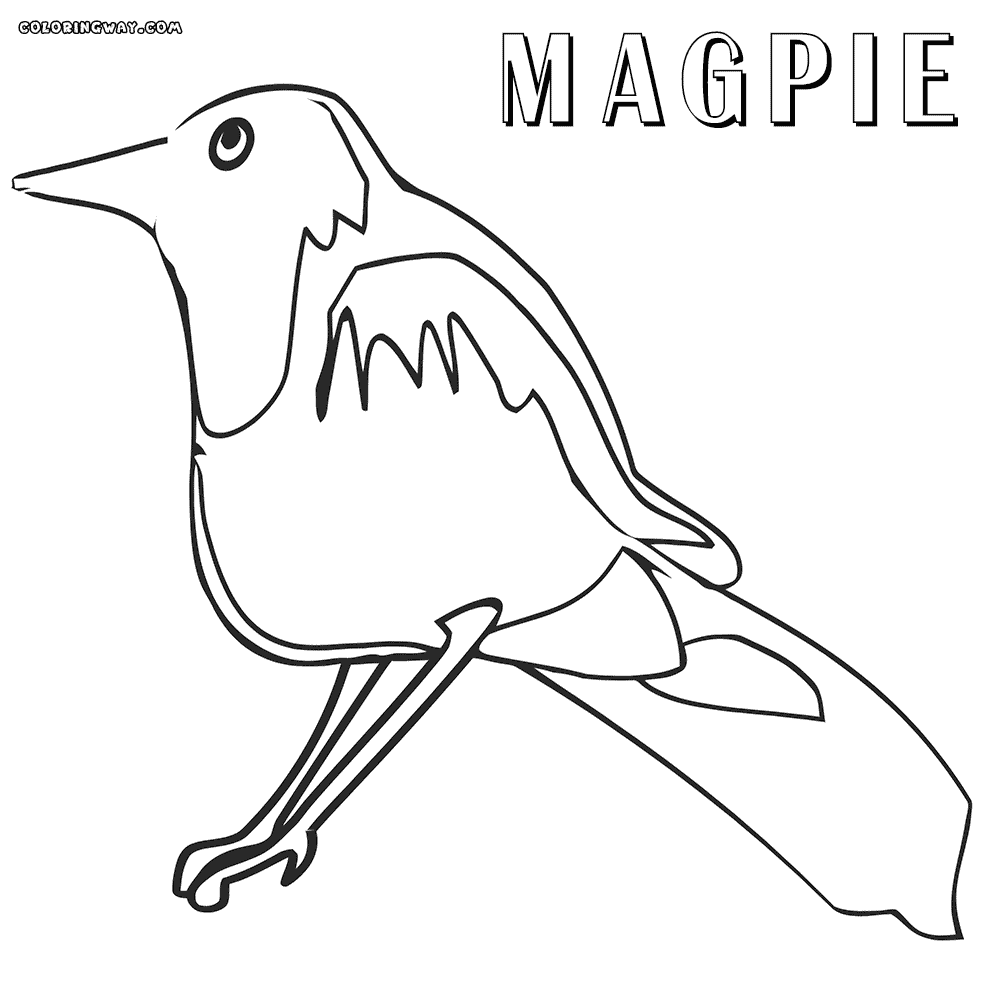 Magpie coloring #17, Download drawings