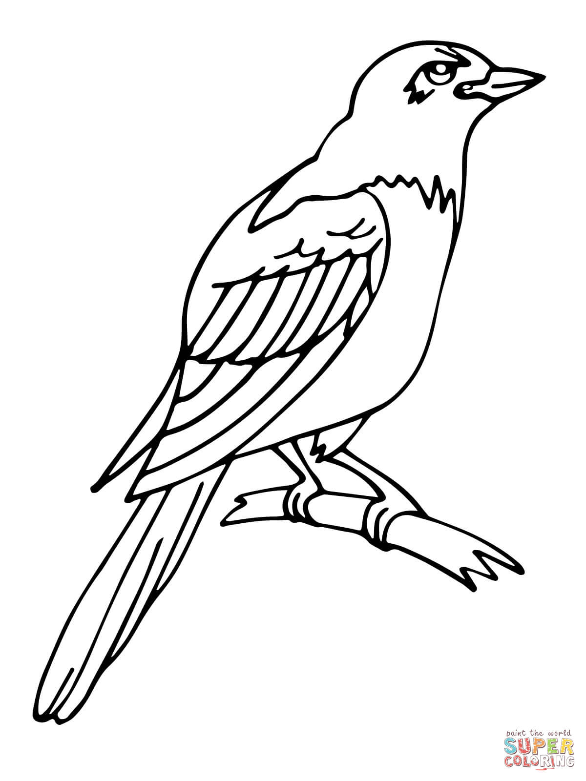 Magpie coloring #12, Download drawings