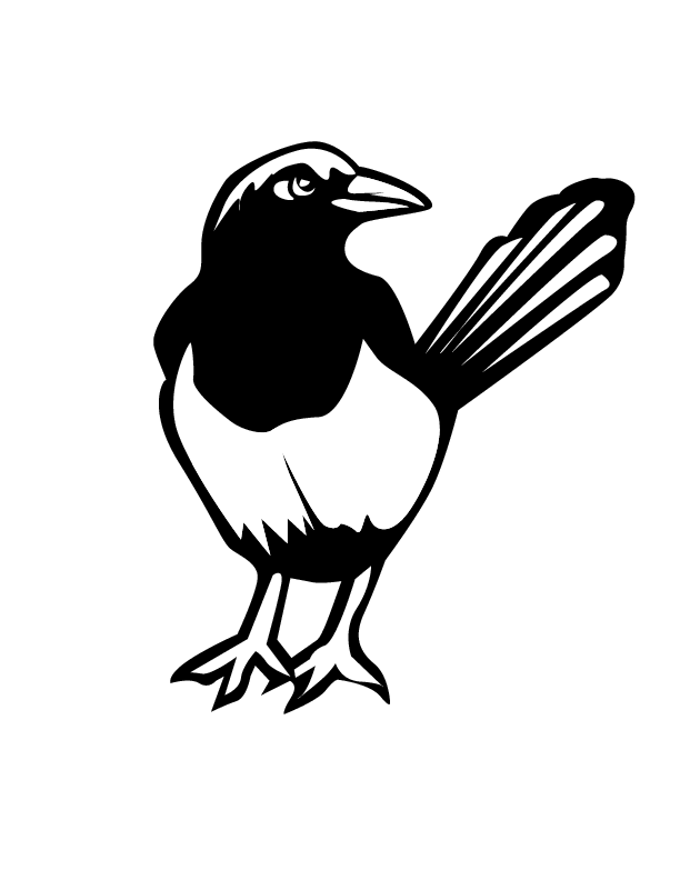 Magpie coloring #8, Download drawings