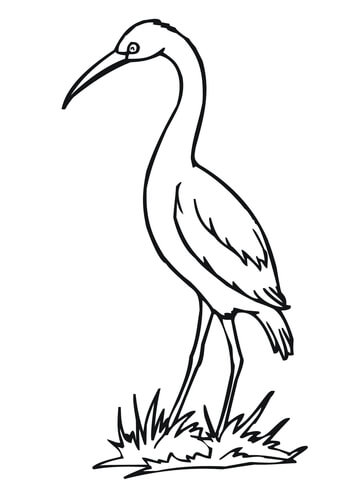 Maguari Stork coloring #14, Download drawings