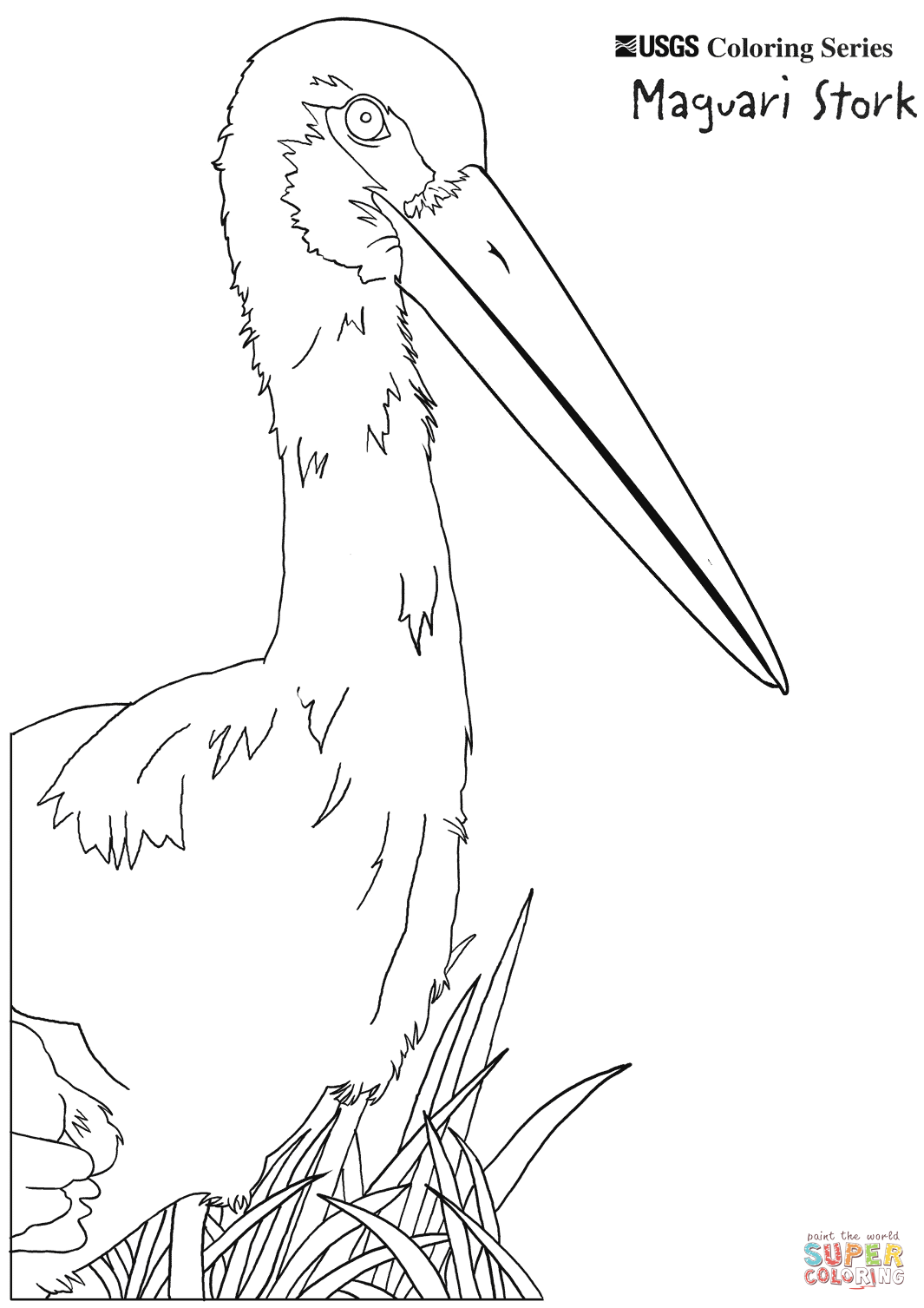 Maguari Stork coloring #17, Download drawings