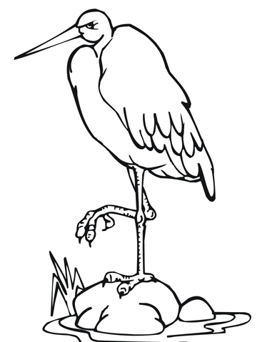 Maguari Stork coloring #10, Download drawings