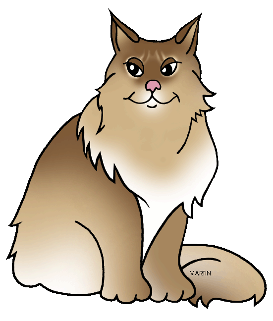 Maine Coon clipart #11, Download drawings