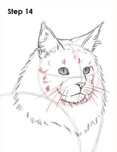 Maine Coon svg #13, Download drawings