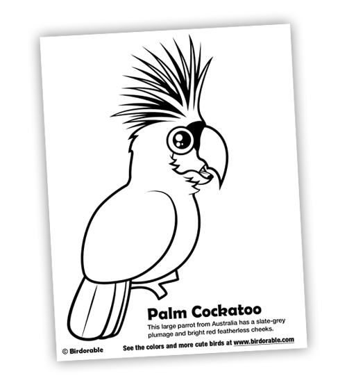 Palm Cockatoo coloring #20, Download drawings