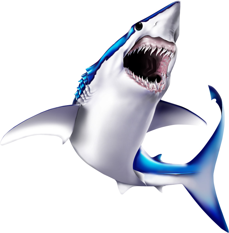 Mako Shark clipart #7, Download drawings