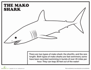 Mako Shark coloring #1, Download drawings