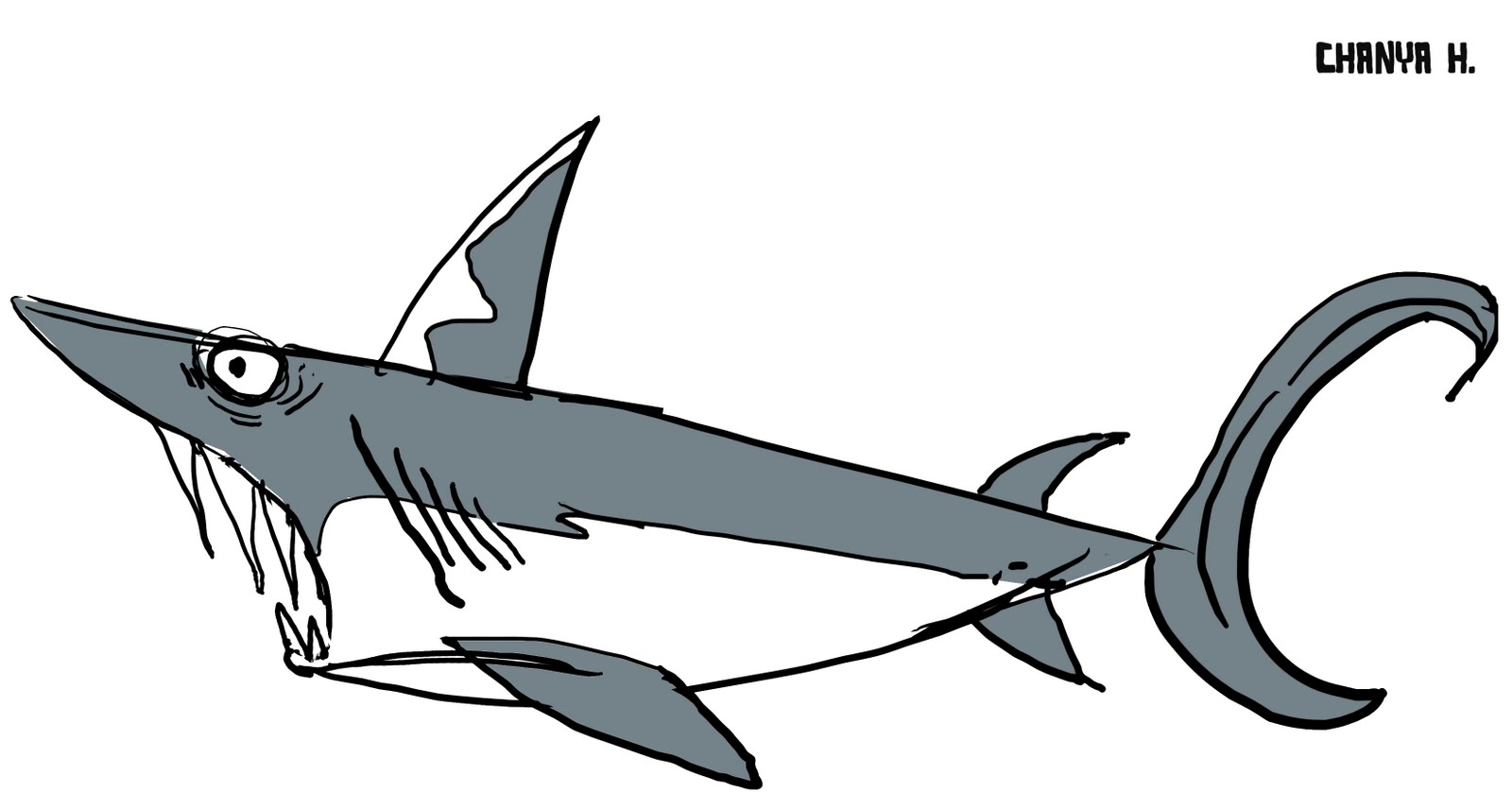 Mako Shark clipart #5, Download drawings