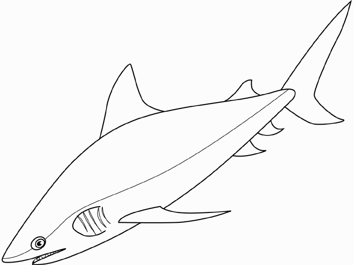 Mako Shark coloring #19, Download drawings