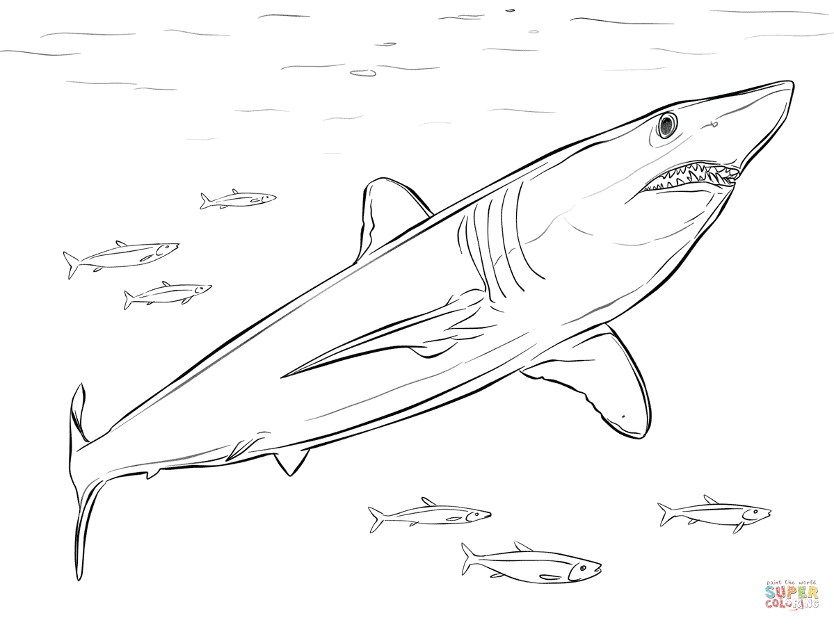 Mako Shark coloring #5, Download drawings