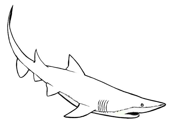 Mako Shark coloring #2, Download drawings