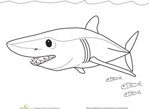 Mako Shark coloring #7, Download drawings