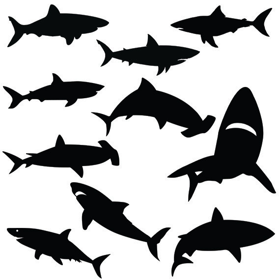 Mako Shark svg #17, Download drawings