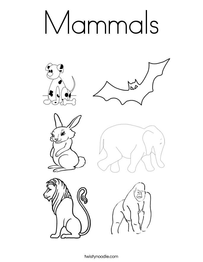Mammal coloring #19, Download drawings