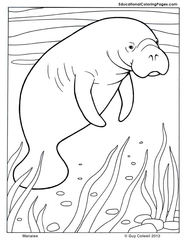 Mammal coloring #9, Download drawings