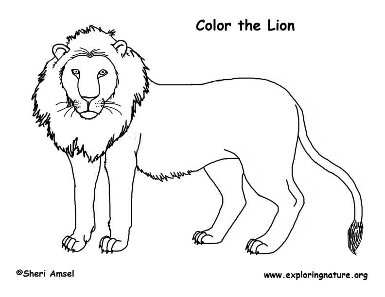 Mammal coloring #14, Download drawings
