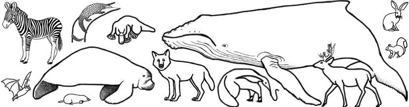 Mammal coloring #17, Download drawings