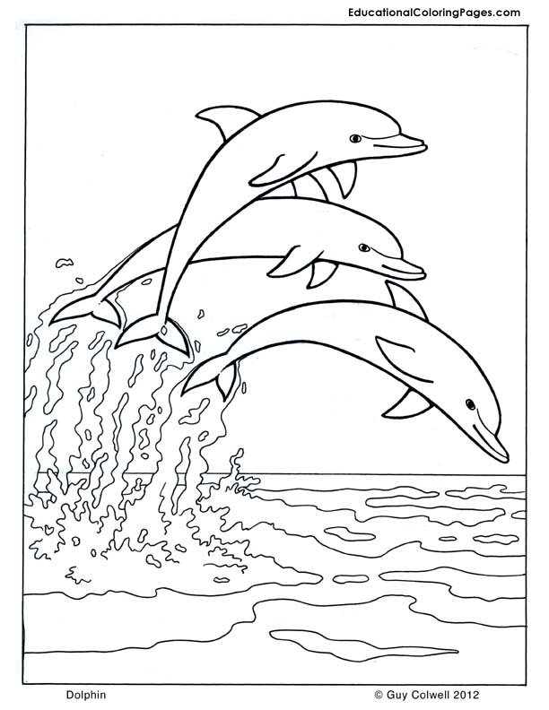 Sheshore coloring #14, Download drawings