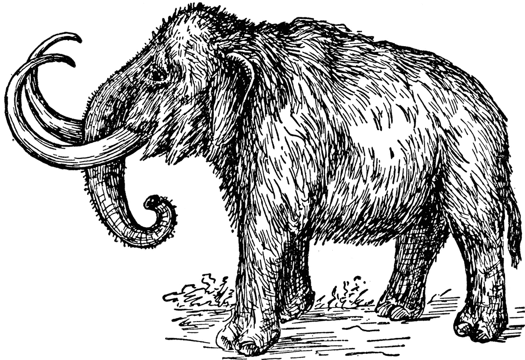 Mammoth clipart #11, Download drawings
