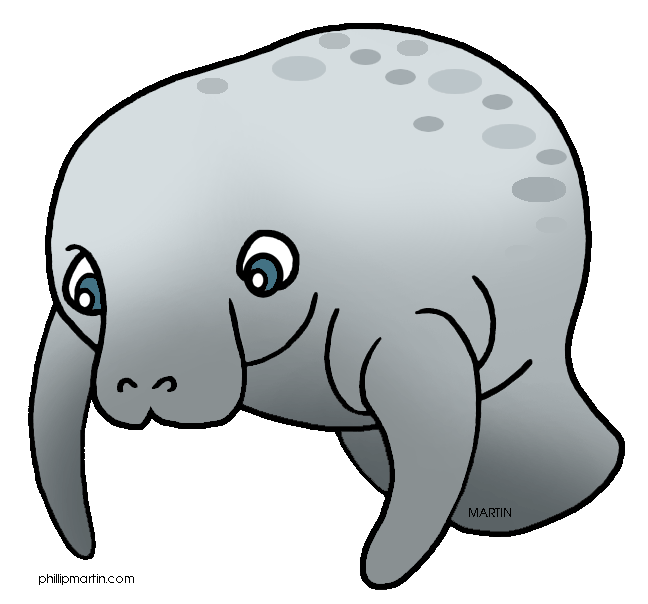 Manatee clipart #19, Download drawings