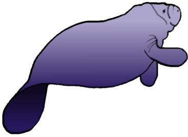 Manatee clipart #20, Download drawings