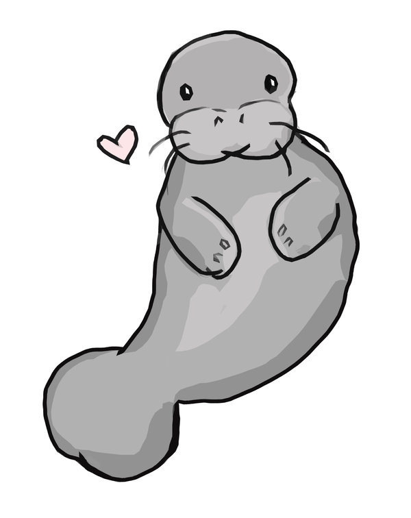 Manatee clipart #13, Download drawings
