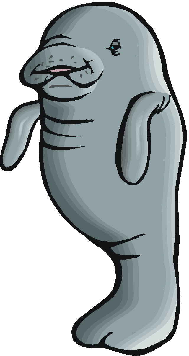 Manatee clipart #11, Download drawings
