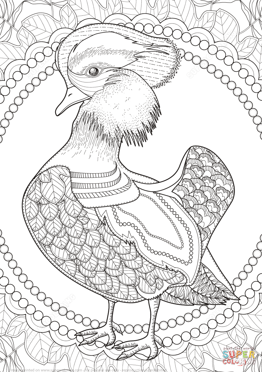 Mandarin Duck coloring #7, Download drawings