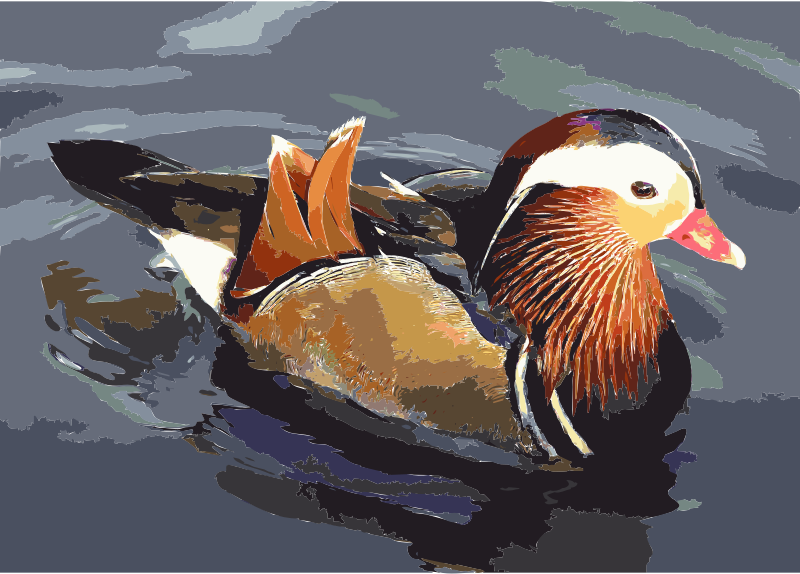 Mandarin Duck svg #16, Download drawings
