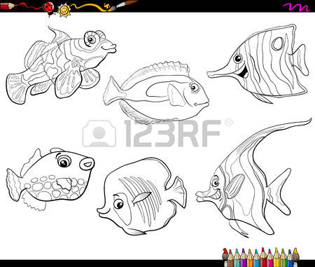 Mandarinfish coloring #10, Download drawings