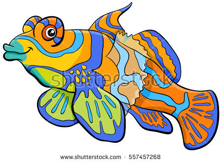 Mandarinfish coloring #8, Download drawings